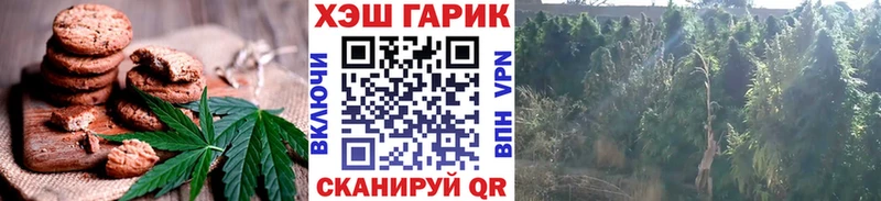 цена   Гай  Cannafood конопля 