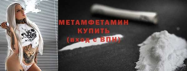 сатива Беломорск