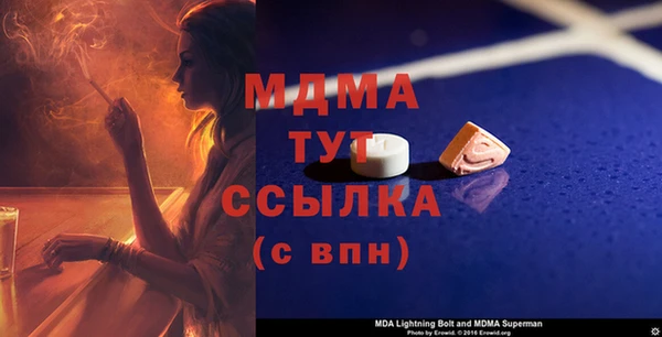 сатива Беломорск