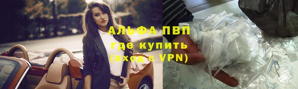 сатива Беломорск