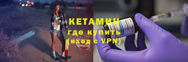 сатива Беломорск