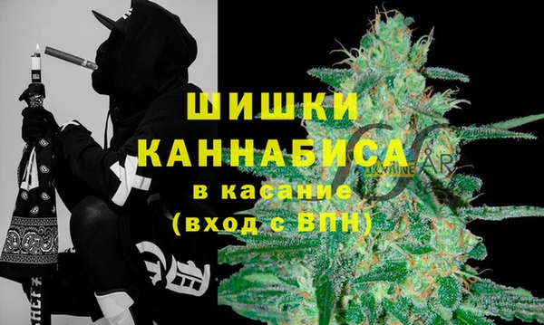 Альфа ПВП Белокуриха