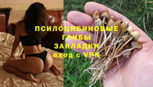 Альфа ПВП Белокуриха