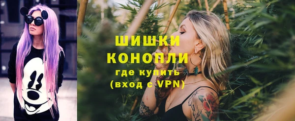 Альфа ПВП Белокуриха