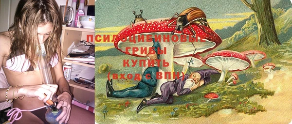 индика Ступино
