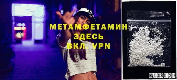 сатива Беломорск