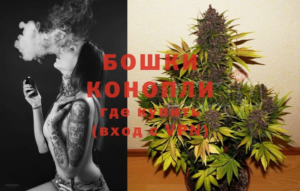 Альфа ПВП Белокуриха