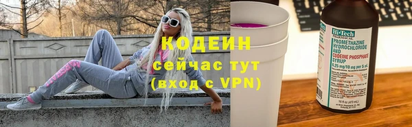 сатива Беломорск