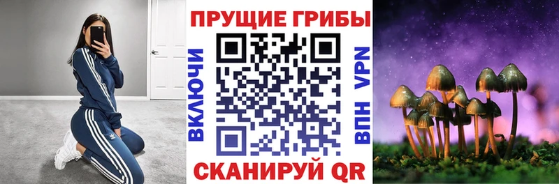 Псилоцибиновые грибы прущие грибы  нарко площадка Telegram  Гай  как найти закладки  ссылка на мегу вход 