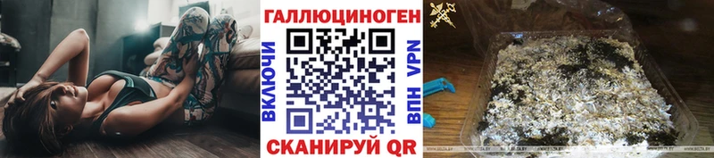 Галлюциногенные грибы Psilocybe Гай